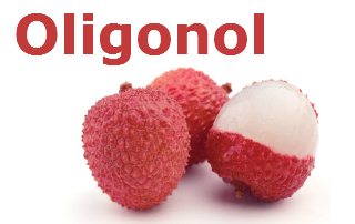 oligonol, олигонол