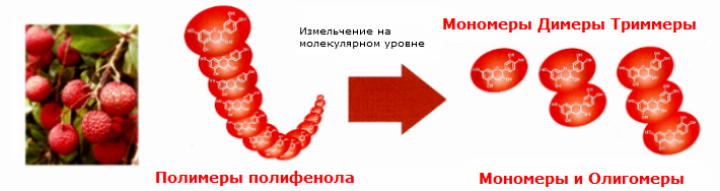 УЛУЧШАЕТ СТРУКТУРУ КОЖИ ЛИЦА,ОГРАНИЧИВАЕТ ВЫРАБОТКУ ОКСИДАНТОВ В ОРГАНИЗМЕ, ВОССТАНАВЛИВАЕТ ЭЛАСТИЧНОСТИ КРОВЕНОСНЫХ СОСУДОВ, СДЕРЖИВАЕТ НАКОПЛЕНИЕ ЖИРОВЫХ КЛЕТОК, ОСВЕТЛЯЕТ ПИГМЕНТНЫЕ ПЯТНА НА ЛИЦЕ, ЛЕГКО УСВАИВАЕТСЯ В ОРГАНИЗМЕ, УСТРАНЯЕТ ЧУВСТВО ХОЛОДА В КОНЕЧНОСТЯХ, ИЗГОТАВЛИВАЕТСЯ ИЗ НАТУРАЛЬНОГО ЛИЧИ